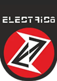 Electrica - Automotive Electronics Partner